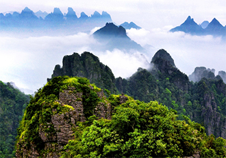 两院院士增选结果揭晓！