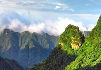 《全球矿业发展报告2025》系列解读之二——全球主要矿产品贸易形势