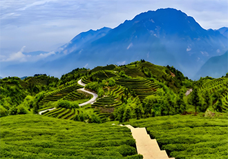 《矿业企业ESG信息披露通则》与《矿业企业ESG治理能力评级规范》正式发布 助力矿业可持续发展新生态